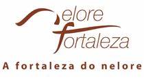 Fazenda Nelore Fortaleza